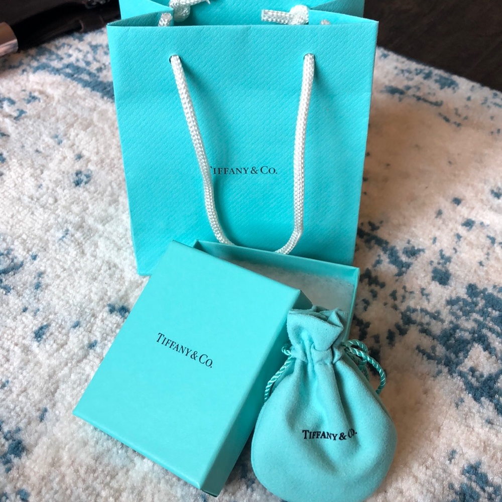 Tiffany & Co. bag, box, and suede interior box